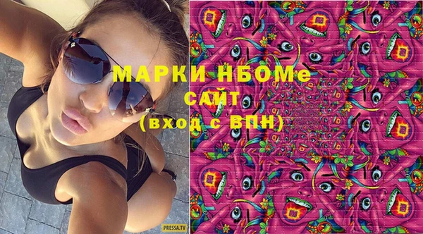 индика Алексин