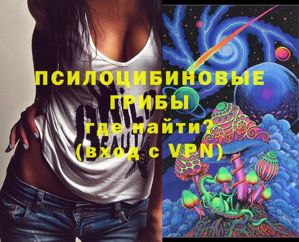 индика Алексин