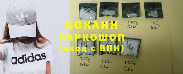индика Алексин