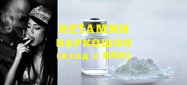 индика Алексин