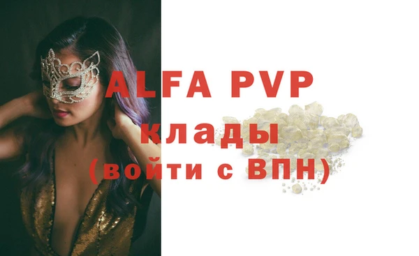 индика Алексин