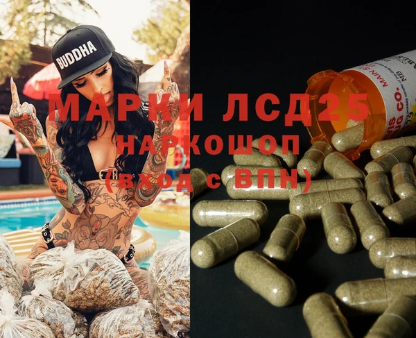 индика Алексин