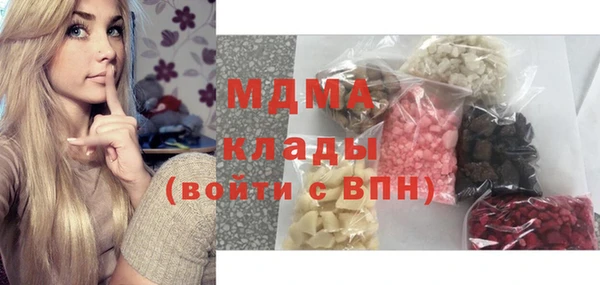 индика Алексин
