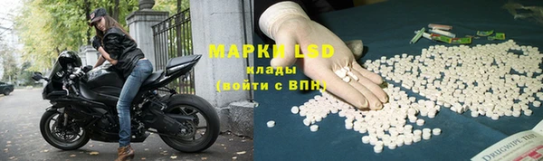 индика Алексин