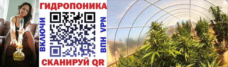 shop какой сайт Сыктывкар Конопля OG Kush